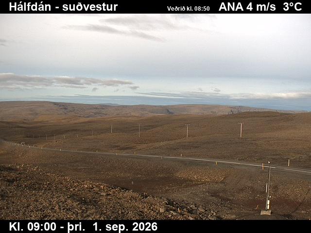 halfdan_1-1788260479.jpg