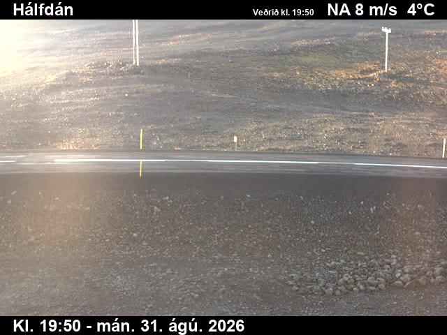 halfdan_2-1788213646.jpg