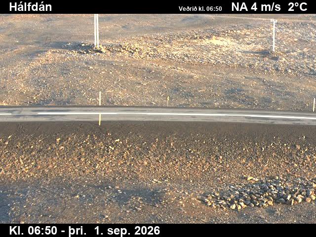 halfdan_2-1788253295.jpg