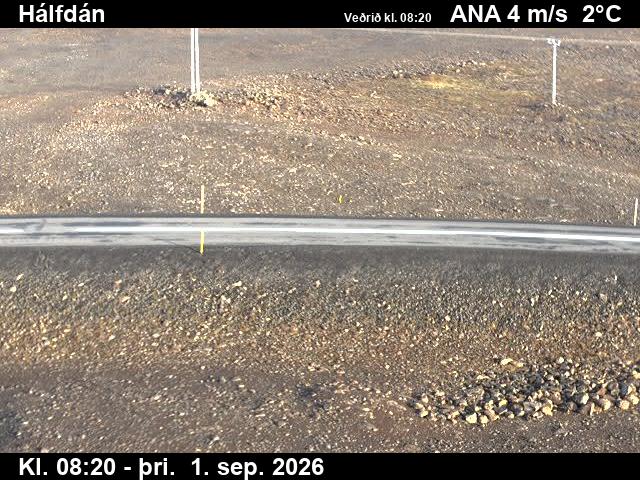 halfdan_2-1788258483.jpg