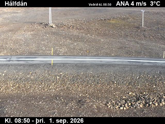 halfdan_2-1788260559.jpg