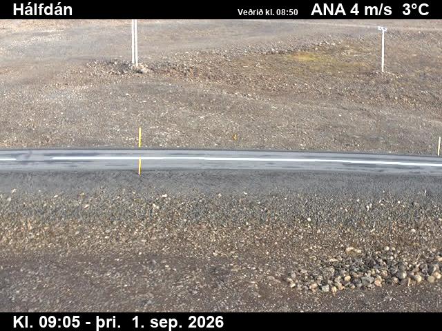 halfdan_2-1788260764.jpg