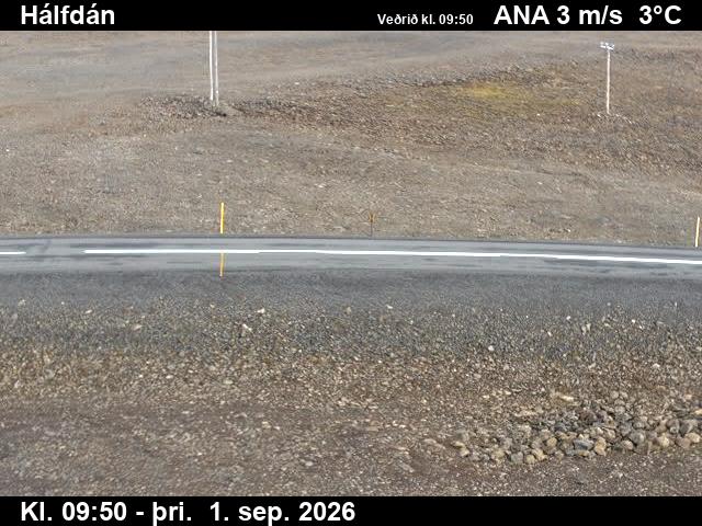 halfdan_2-1788264108.jpg