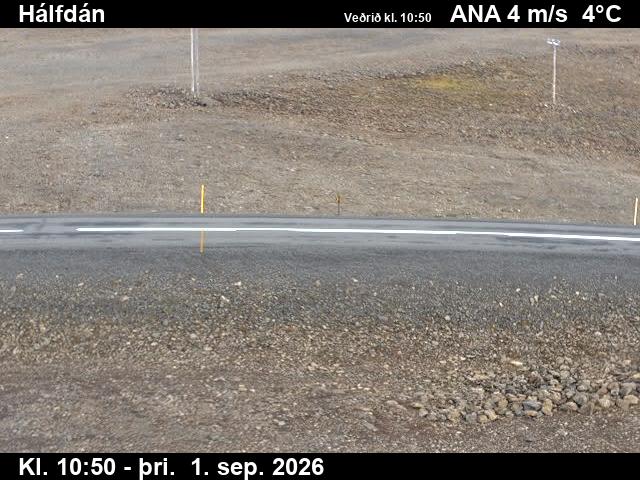 halfdan_2-1788267778.jpg