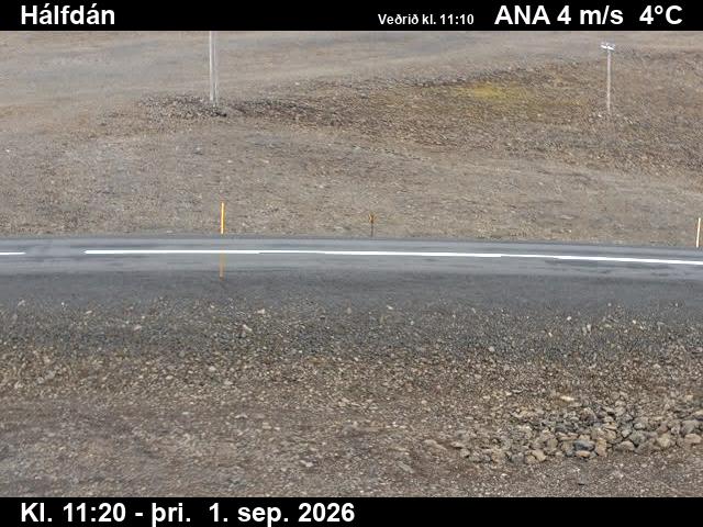 halfdan_2-1788269124.jpg