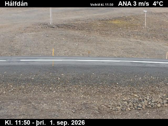 halfdan_2-1788271227.jpg