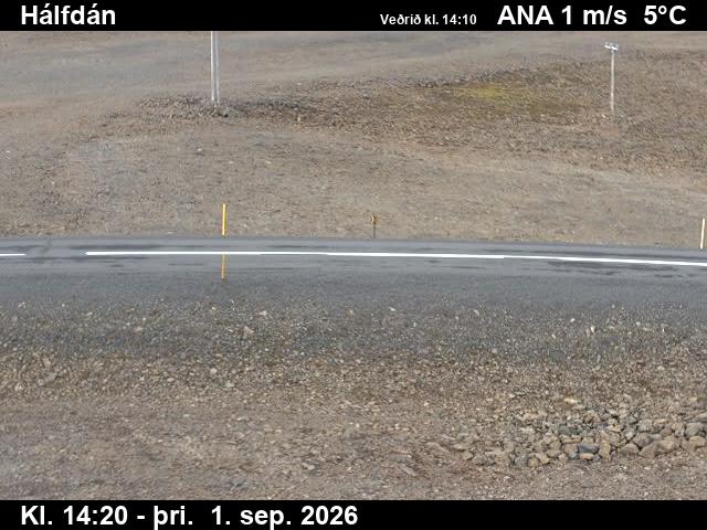 halfdan_2-1788279951.jpg