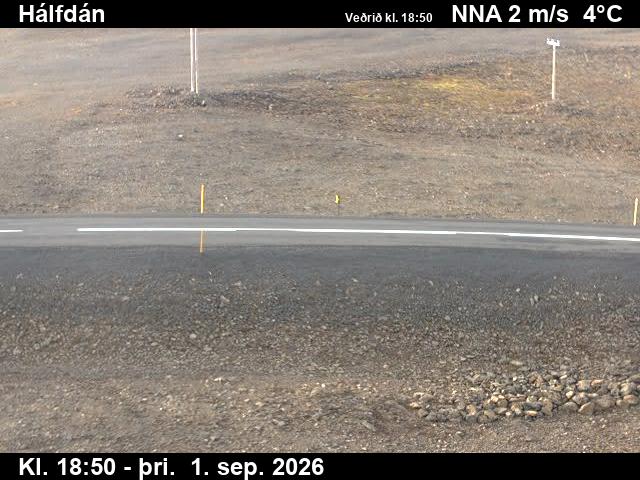 halfdan_2-1788296536.jpg