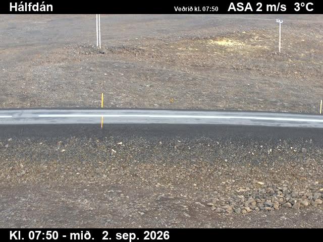 halfdan_2-1788343258.jpg