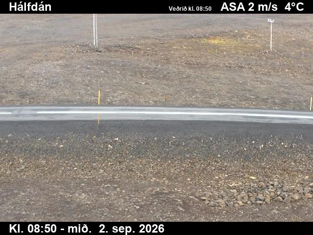 halfdan_2-1788346864.jpg