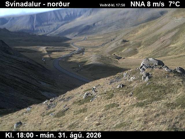 svinadalur_1-1788206524.jpg