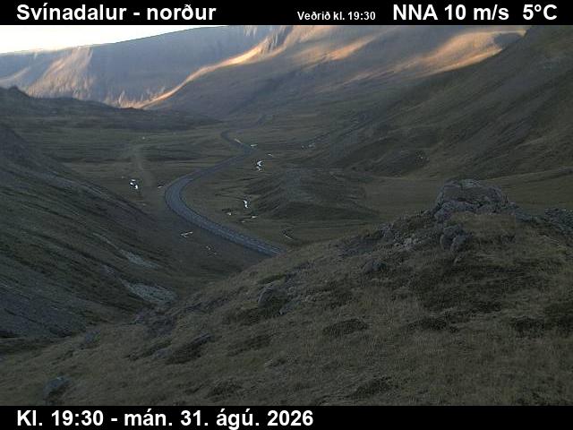 svinadalur_1-1788212265.jpg