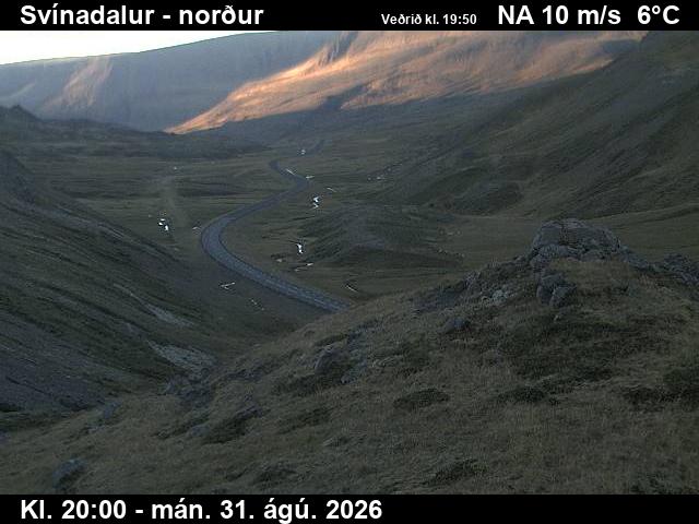 svinadalur_1-1788213644.jpg