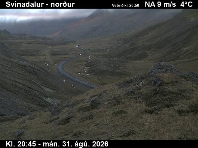 svinadalur_1-1788217251.jpg