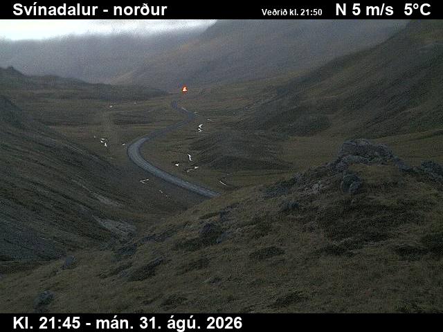 svinadalur_1-1788220861.jpg