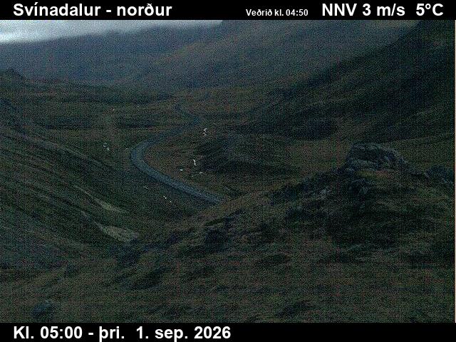 svinadalur_1-1788246091.jpg