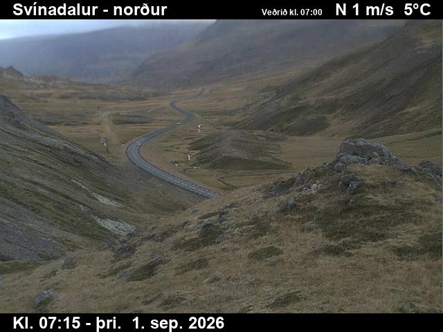svinadalur_1-1788254762.jpg