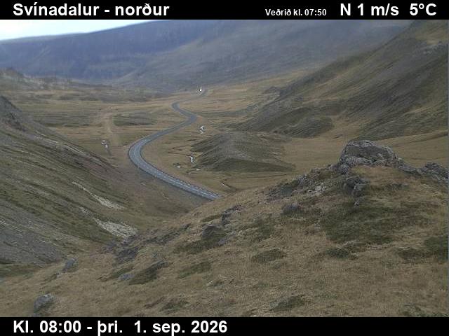 svinadalur_1-1788256845.jpg
