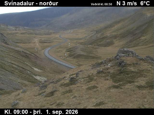 svinadalur_1-1788260481.jpg