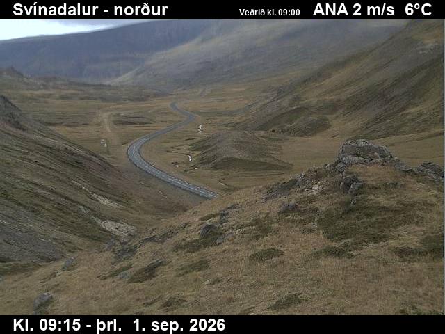 svinadalur_1-1788261930.jpg