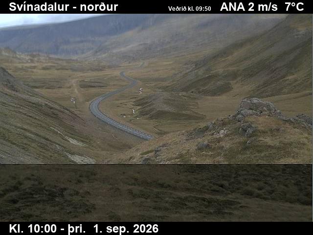 svinadalur_1-1788264051.jpg