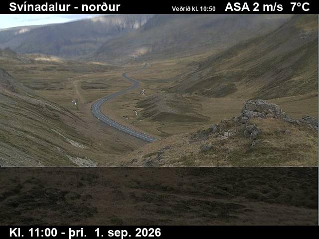 svinadalur_1-1788267687.jpg