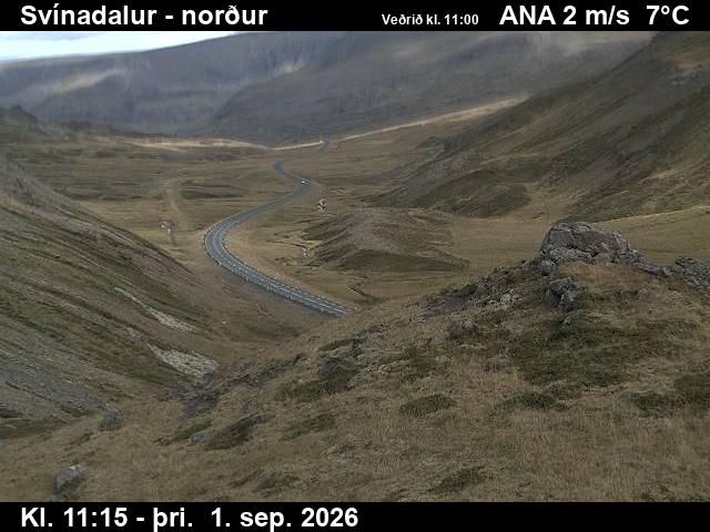 svinadalur_1-1788269147.jpg