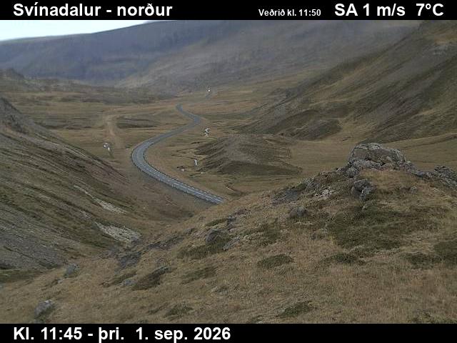 svinadalur_1-1788271236.jpg