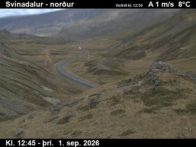svinadalur_1-1788274831.jpg