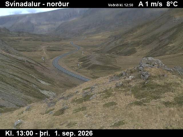 svinadalur_1-1788275168.jpg