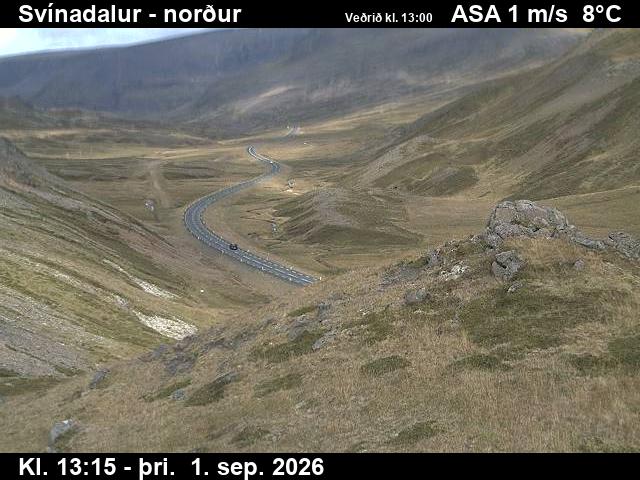 svinadalur_1-1788276340.jpg
