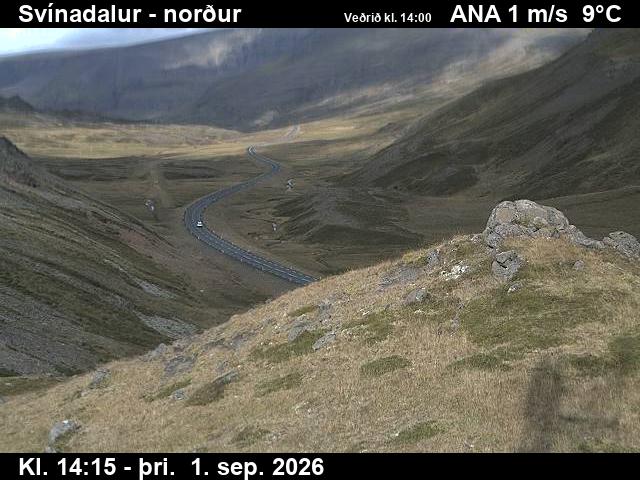 svinadalur_1-1788279950.jpg