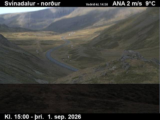 svinadalur_1-1788282349.jpg