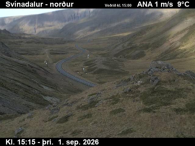 svinadalur_1-1788283545.jpg