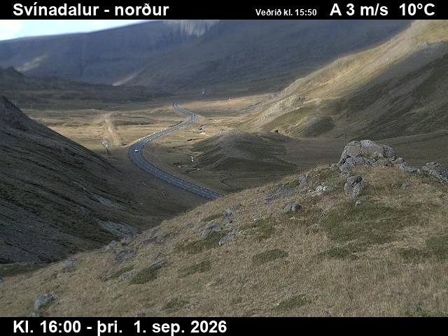 svinadalur_1-1788285968.jpg