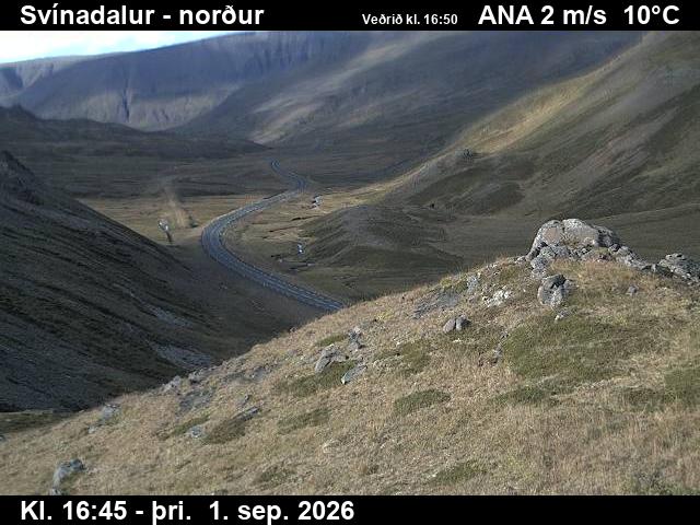 svinadalur_1-1788289285.jpg