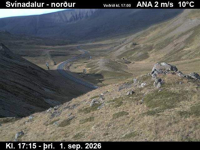 svinadalur_1-1788290729.jpg
