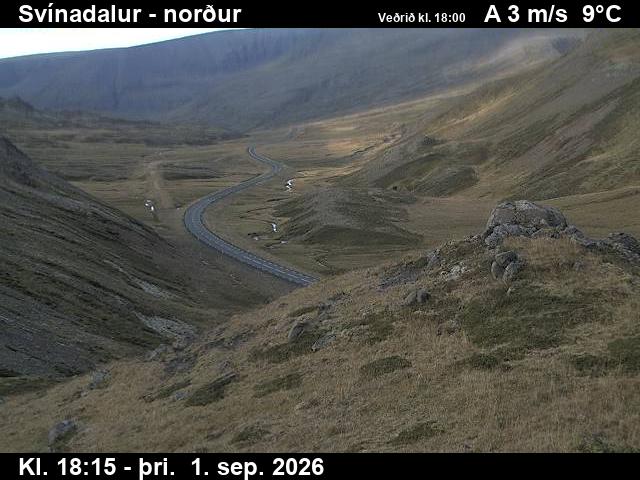 svinadalur_1-1788294349.jpg