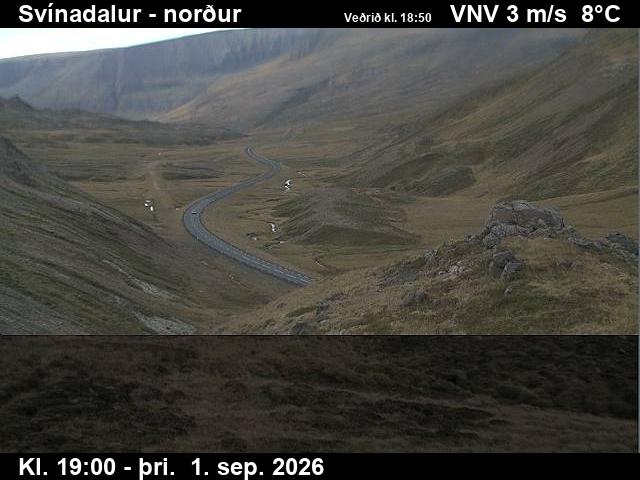svinadalur_1-1788296734.jpg