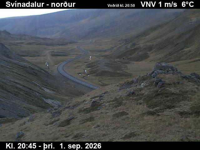 svinadalur_1-1788303664.jpg