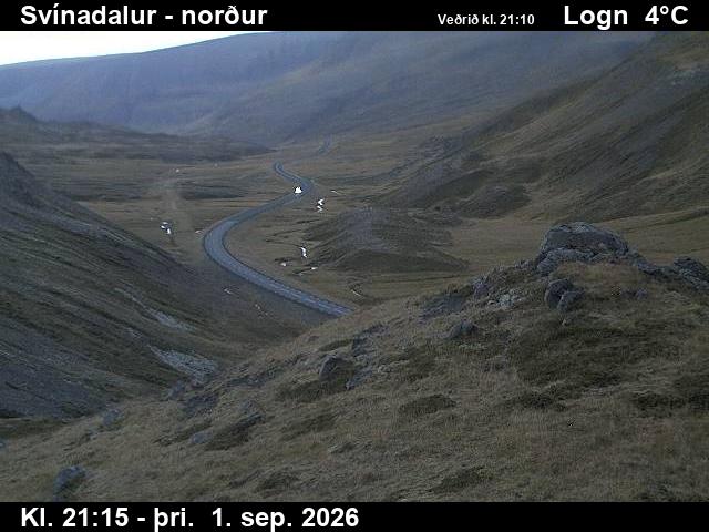 svinadalur_1-1788305131.jpg