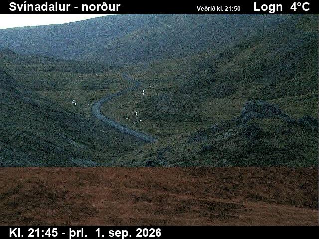 svinadalur_1-1788307274.jpg