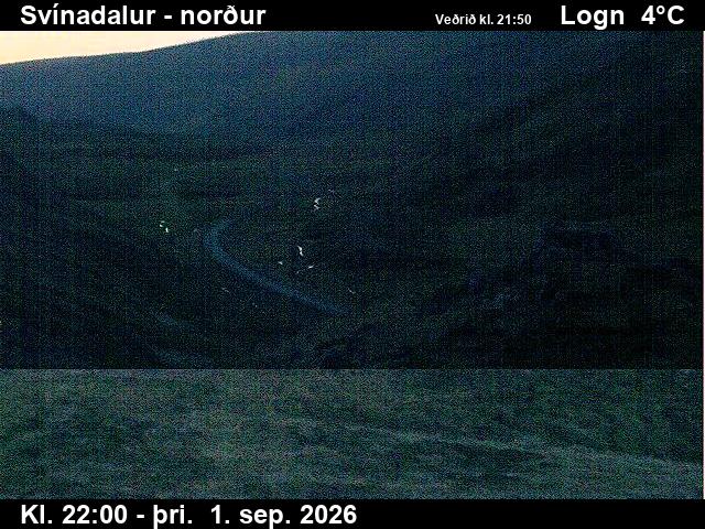 svinadalur_1-1788307579.jpg