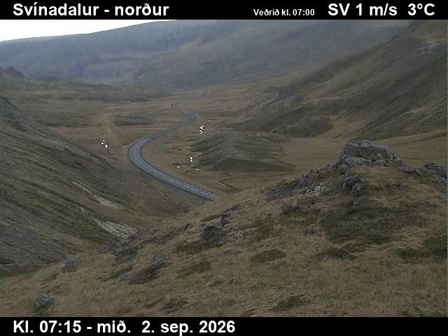 svinadalur_1-1788341130.jpg