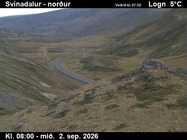 svinadalur_1-1788343317.jpg