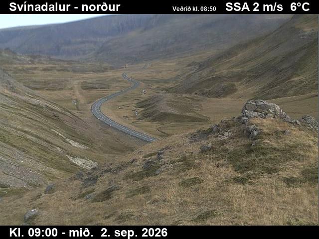 svinadalur_1-1788346903.jpg