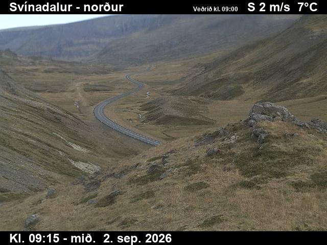 svinadalur_1-1788348332.jpg