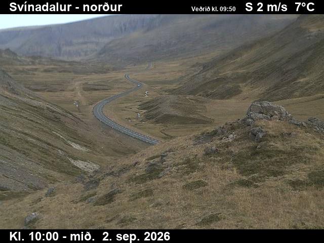 svinadalur_1-1788350472.jpg