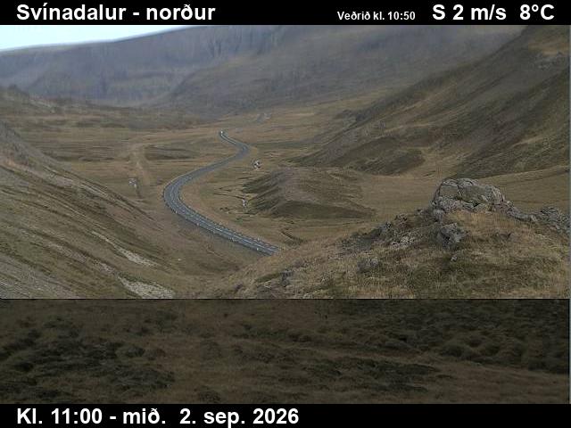 svinadalur_1-1788354115.jpg
