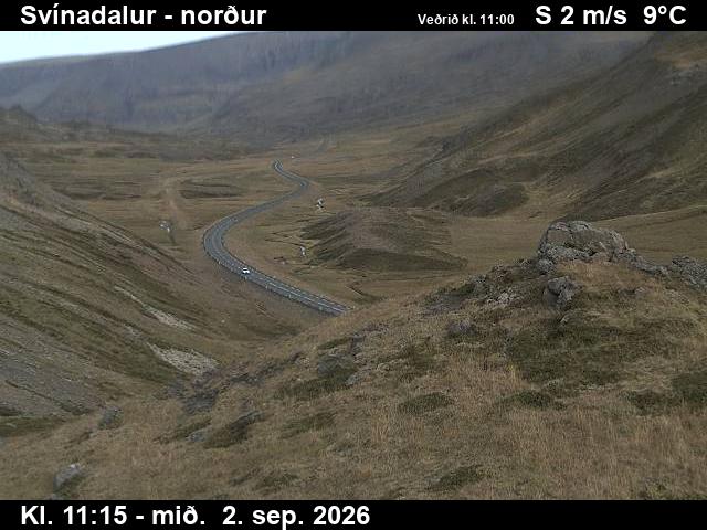svinadalur_1-1788355526.jpg